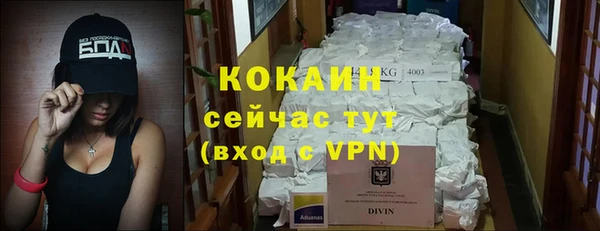 PSILOCYBIN Майский