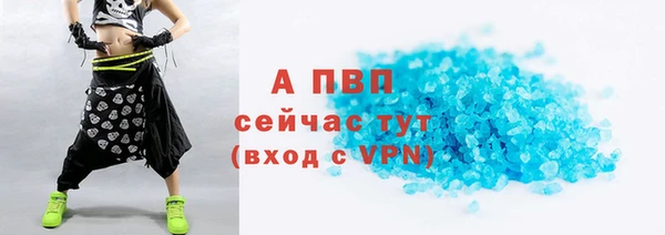 PSILOCYBIN Майский