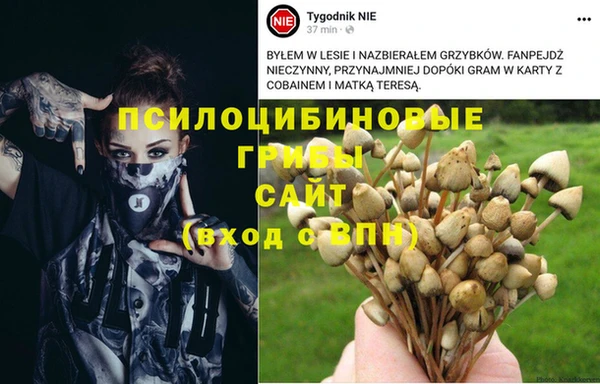 кокаин перу Магас