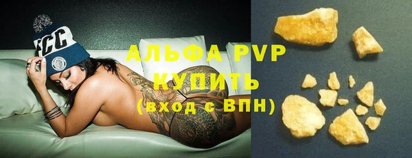 PSILOCYBIN Майский